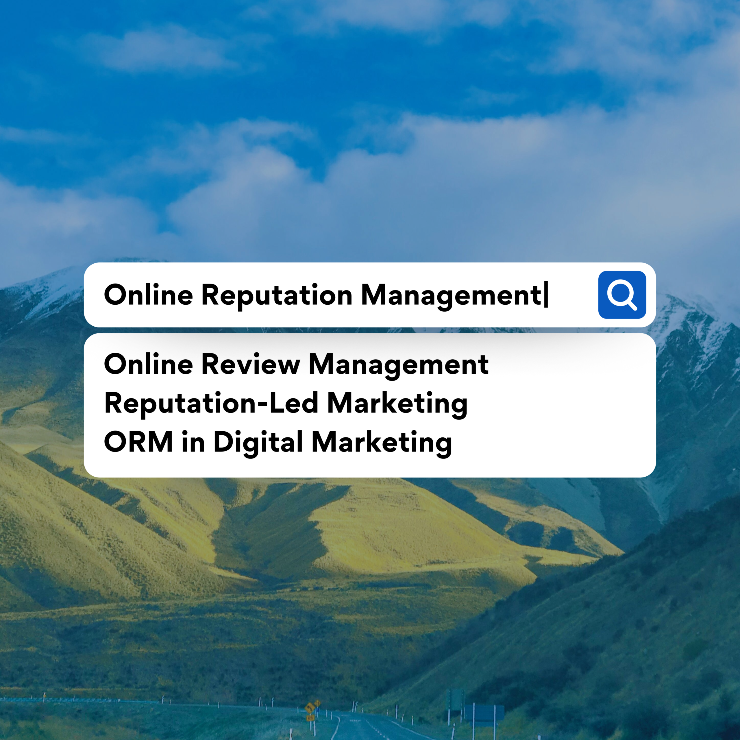 Online Review management